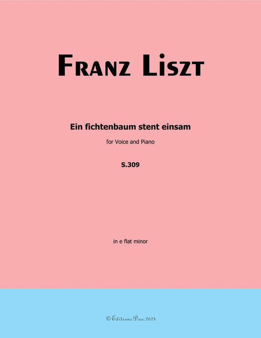 Ein fichtenbaum stent einsam, by Liszt