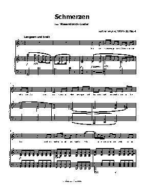 Schmerzen, by R. Wagner