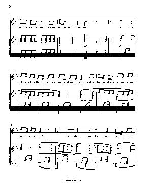 Schmerzen, by R. Wagner
