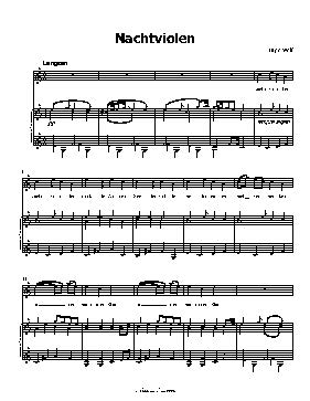 Nachtviolen, by H. Wolf