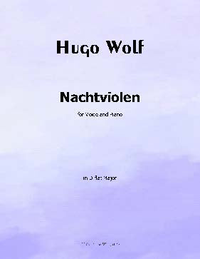 Nachtviolen, by H. Wolf