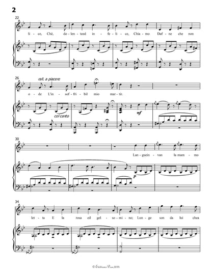 L'abbandono, by V. Bellini