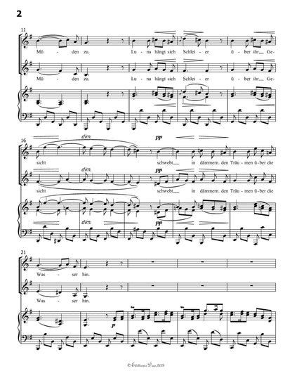 Die Meere-The Sea,by Brahms