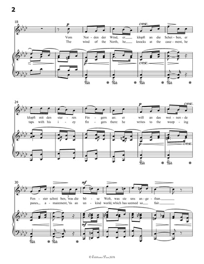 Die letzte Rose, by R. Franz