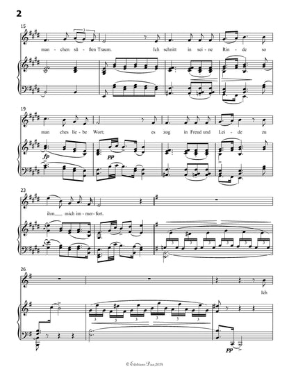 Der Lindenbaum, by Schubert