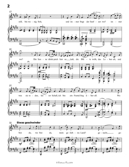 Der Wanderer, by Schubert