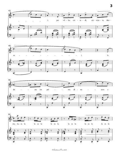 La Zingara, by Donizetti