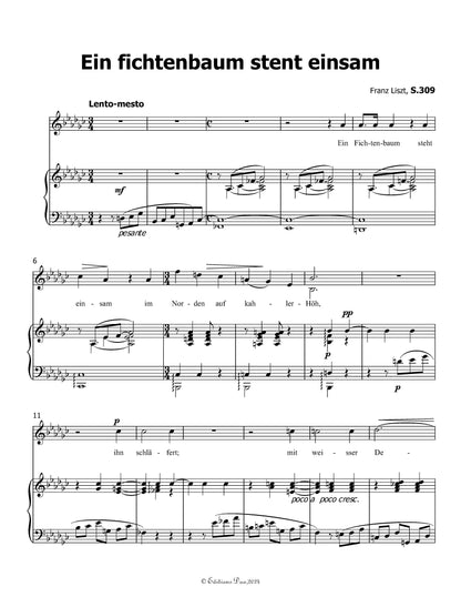 Ein fichtenbaum stent einsam, by Liszt