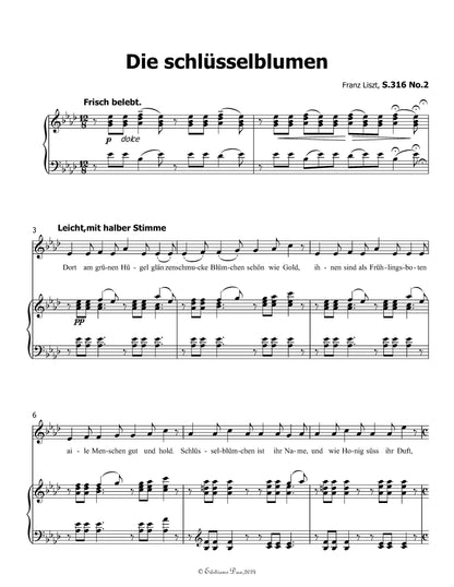 Die schlusselblumen, by Liszt