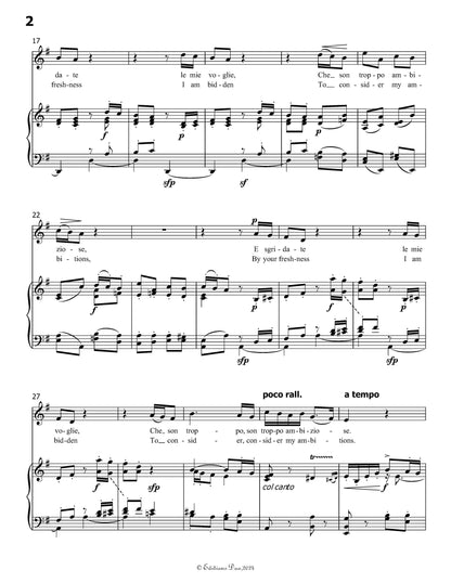 Rugiadose,odorose,by A. Scarlatti