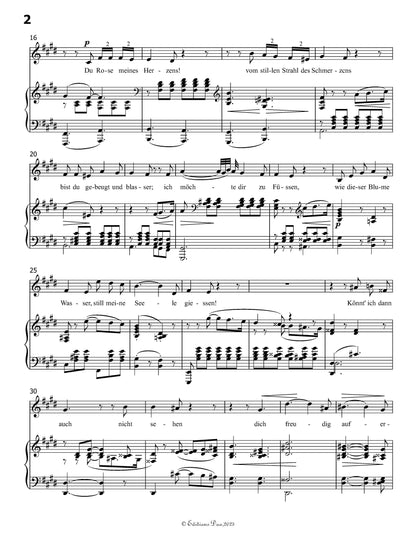 Meine Rose, by R. Schumann