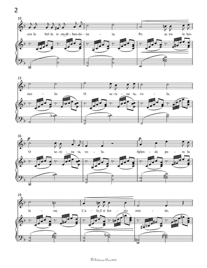 La Serenata,by F. P. Tosti